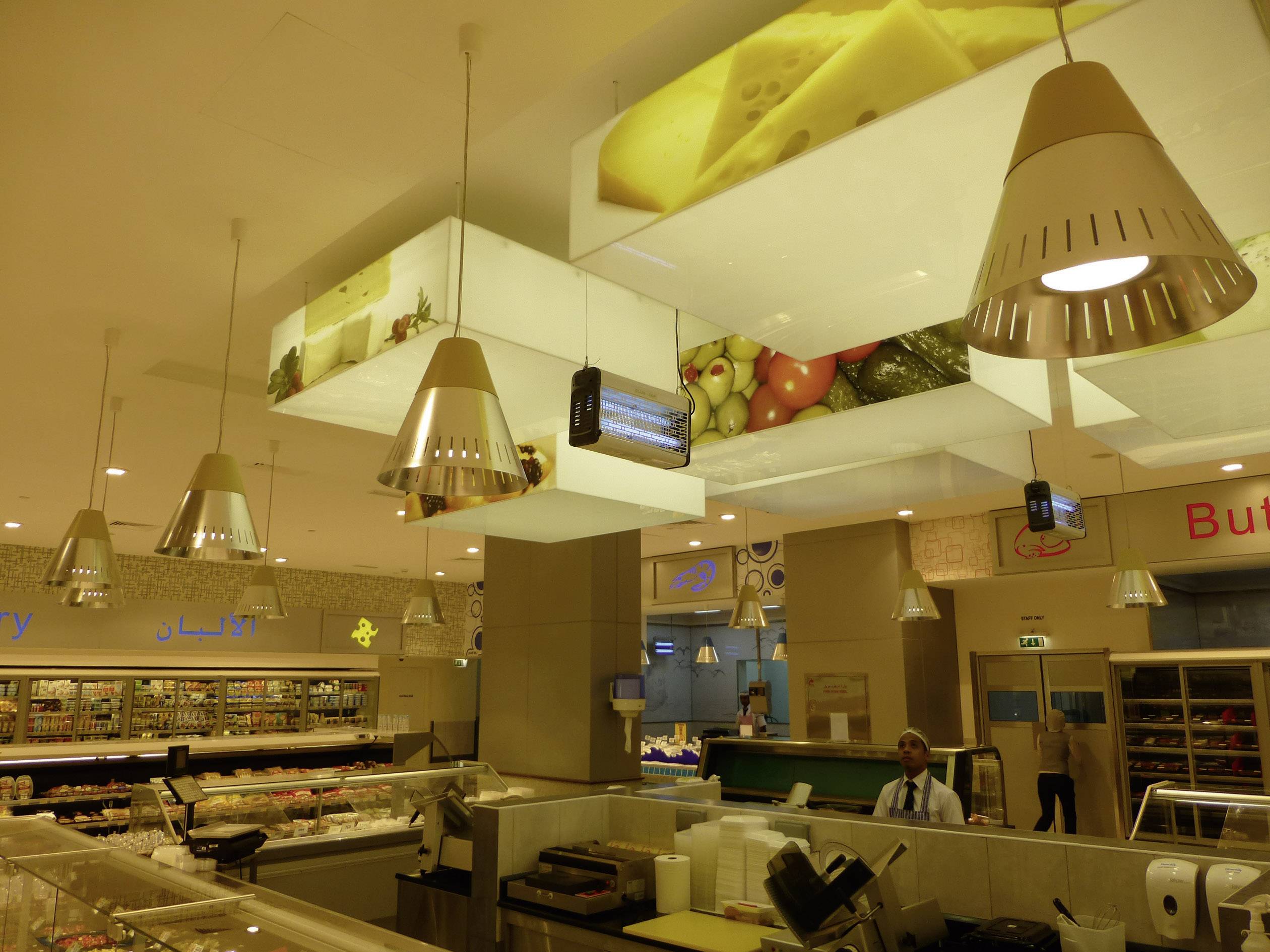 Plus ZAP PZ30 Insect-o-Cutor ZE122 UV-Insektenfänger 30 W (B x H x T) 514 x 262 x 130 mm Aluminium 1 St.