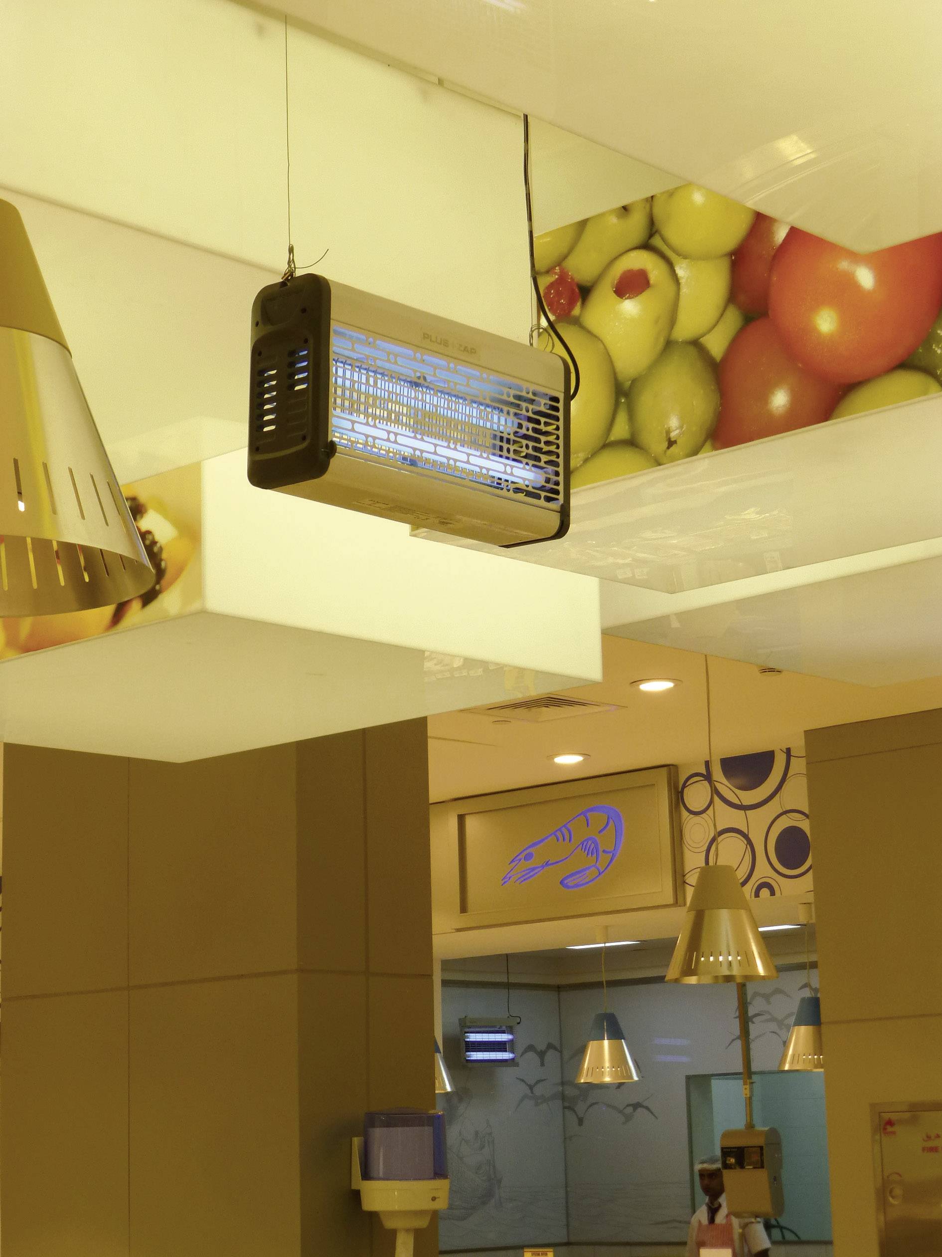 Plus ZAP PZ30 Insect-o-Cutor ZE122 UV-Insektenfänger 30 W (B x H x T) 514 x 262 x 130 mm Aluminium 1 St.