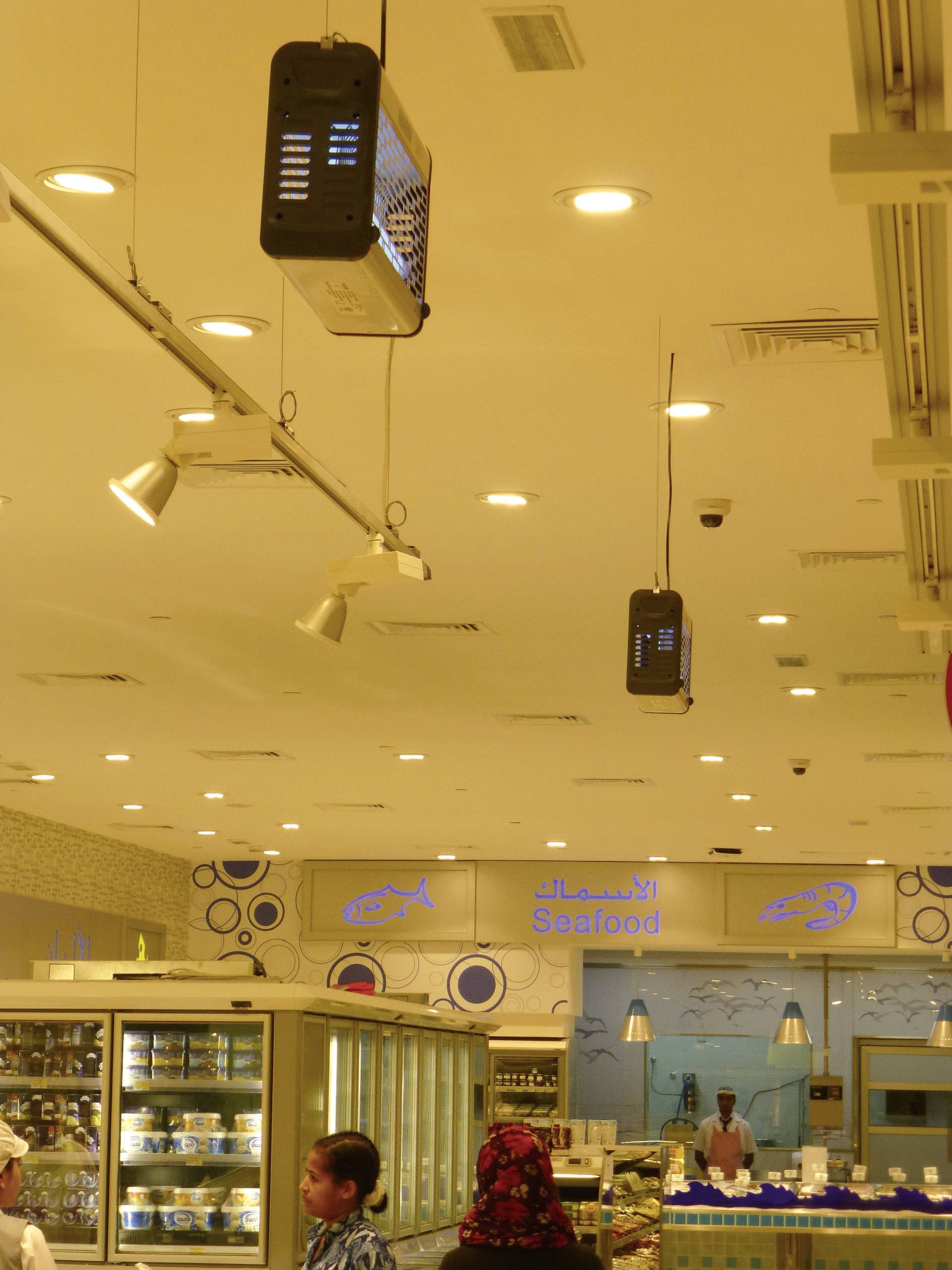 Exocutor Insect-o-Cutor EX80S UV-Insektenfänger 80W (B x H x T) 694 x 265 x 140mm Edelstahl 1St.