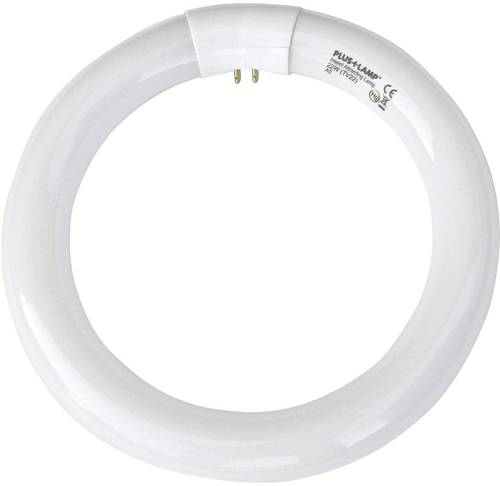 Plus Lamp TVX22 UVA 22W round UV-Ring UV-Insektenfänger Sockel G10q 1St.