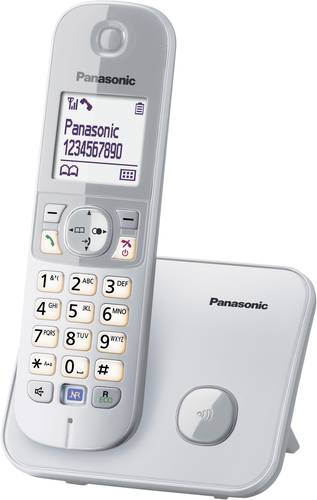 Panasonic KX-TG6811 DECT, GAP Schnurloses Telefon analog  Freisprechen Silber, Grau