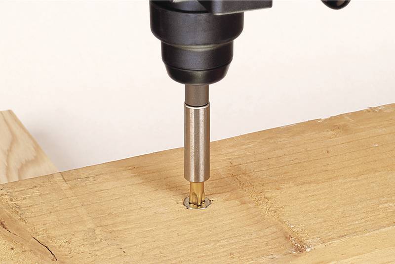 Ein Bohrer senkt eine Schraube in ein Holzbrett. Das Holz ist hell und der Bohrer ist aus Metall. Der Vorgang zeigt das Bohren in Holz.