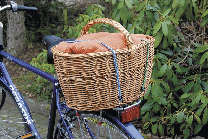 Ein Fahrrad mit einem geflochtenen Korb auf dem Gepäckträger. Im Korb liegt ein orangefarbenes Kissen. Im Hintergrund sind Pflanzen.