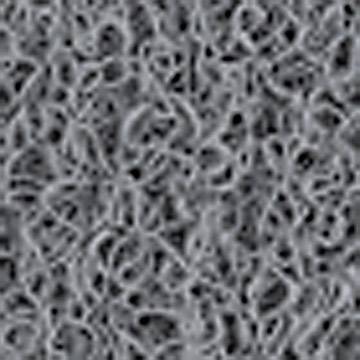 COBA Europe LU061209C LU061209C Schmutzfangsystem Loopermat Grau (Meterware)