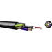 Kabeltronik 720030000-1 Câble combiné 1 x 2 x 0.22 mm² + 2 x 1 mm² noir Marchandise vendue au mètre