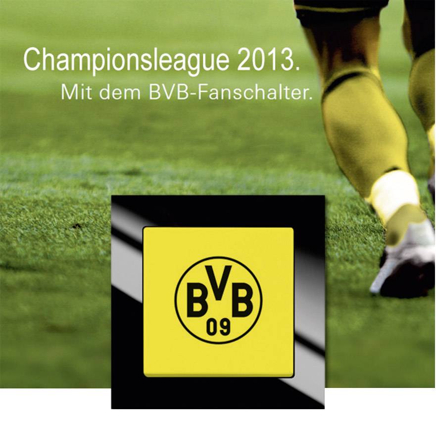 Busch-Jaeger Einsatz Wechselschalter Axcent Gelb, Schwarz 2000/6 UJ/01 1St.