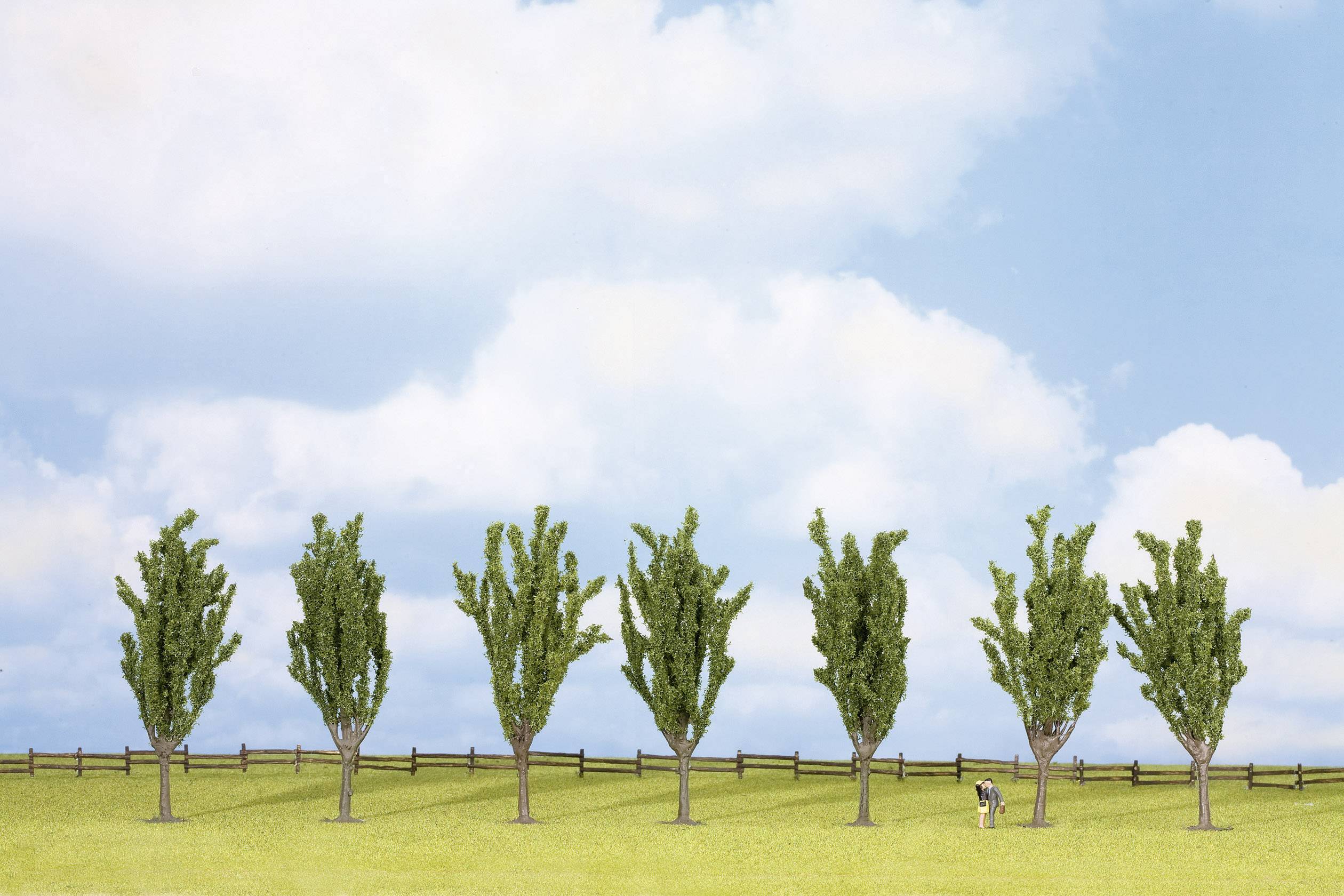 NOCH 25098 Baumpackung Pappel 120 bis 120 mm Grün 7 St.