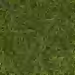 NOCH 07112 Wildgras XL Hellgrün NOCH 07112 Wildgras XL Hellgrün