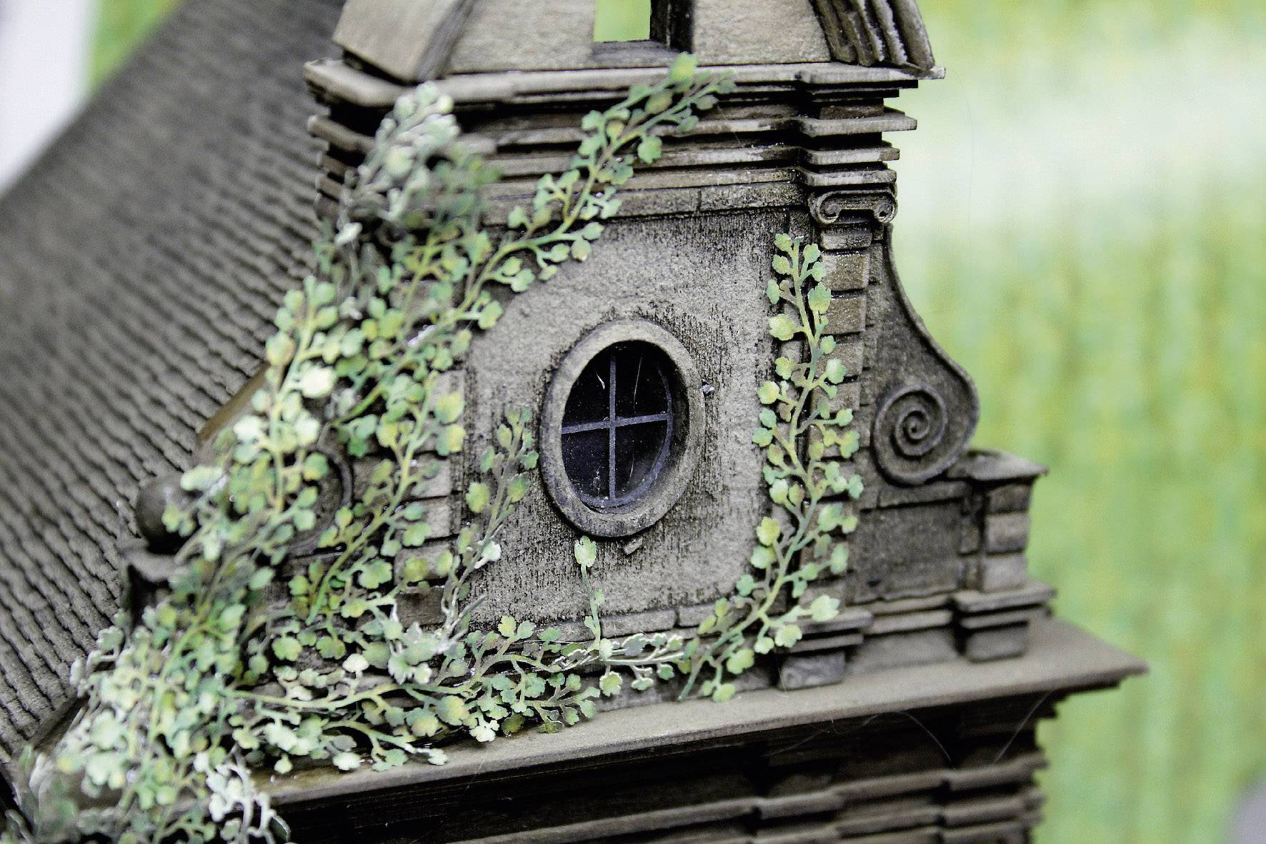 MBZ 80117 Ranken Wilder Wein Grün