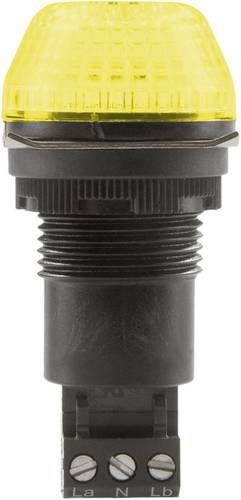Signalleuchte LED IBS Gelb Dauerlicht, Blinklicht 24 V/DC, 24 V/AC