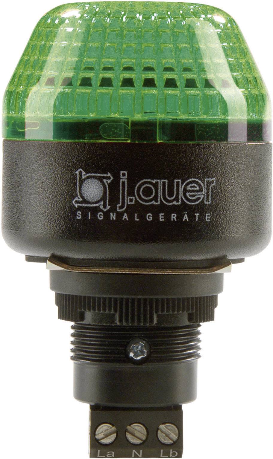 Auer Signalgeräte Signalleuchte LED IBM 801506405 Grün Dauerlicht, Blinklicht 24 V/DC, 24 V/AC