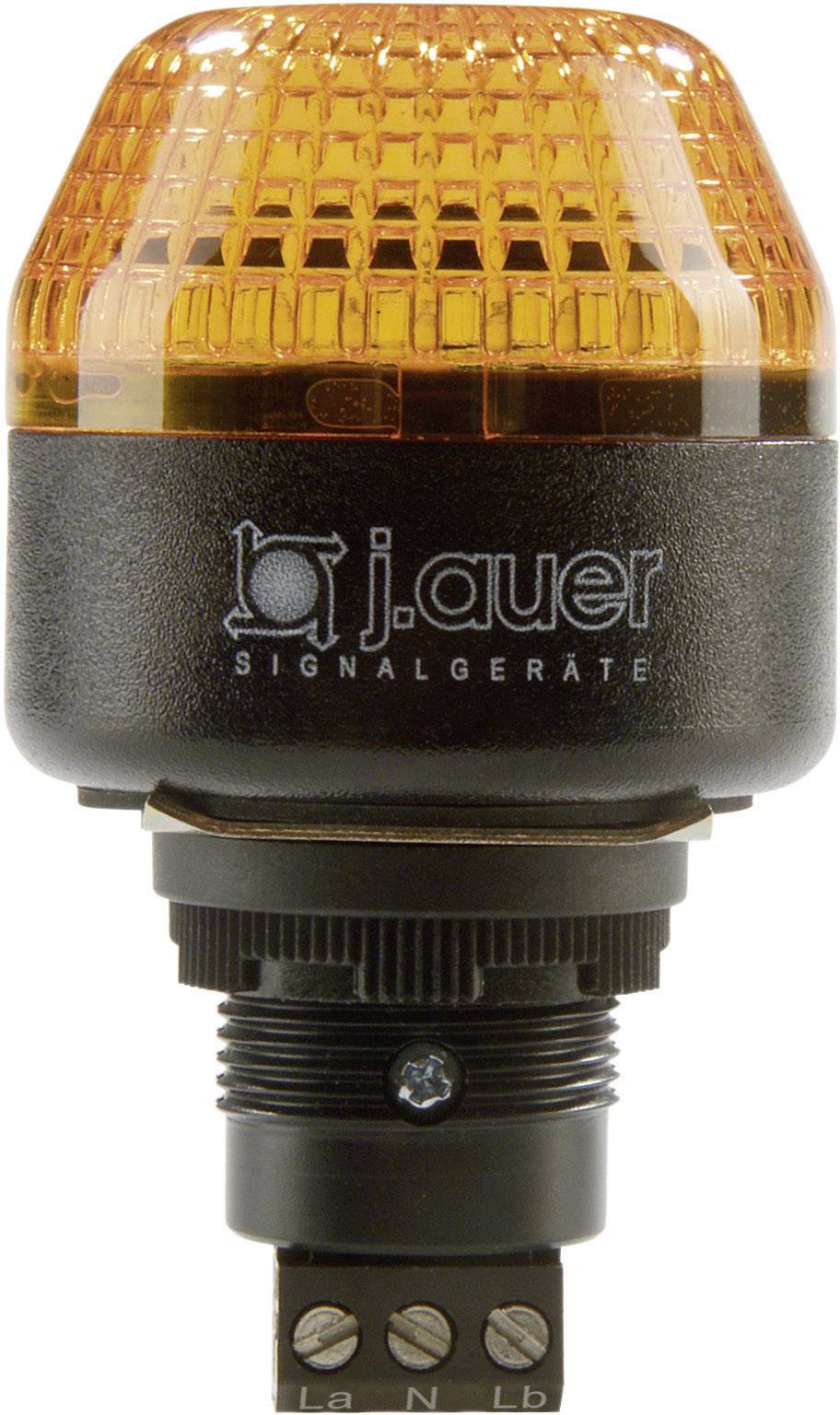 Auer Signalgeräte Signalleuchte LED ICM 801521405 Orange Blitzlicht 24 V/DC, 24 V/AC
