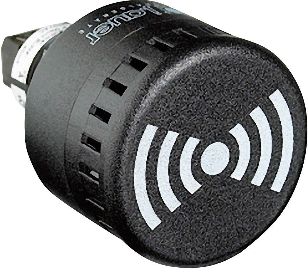 Auer Signalgeräte Signalsummer 813500405 ESM Dauerton, Pulston 12 V/DC, 12 V/AC, 24 V/DC, 24 V/AC 6
