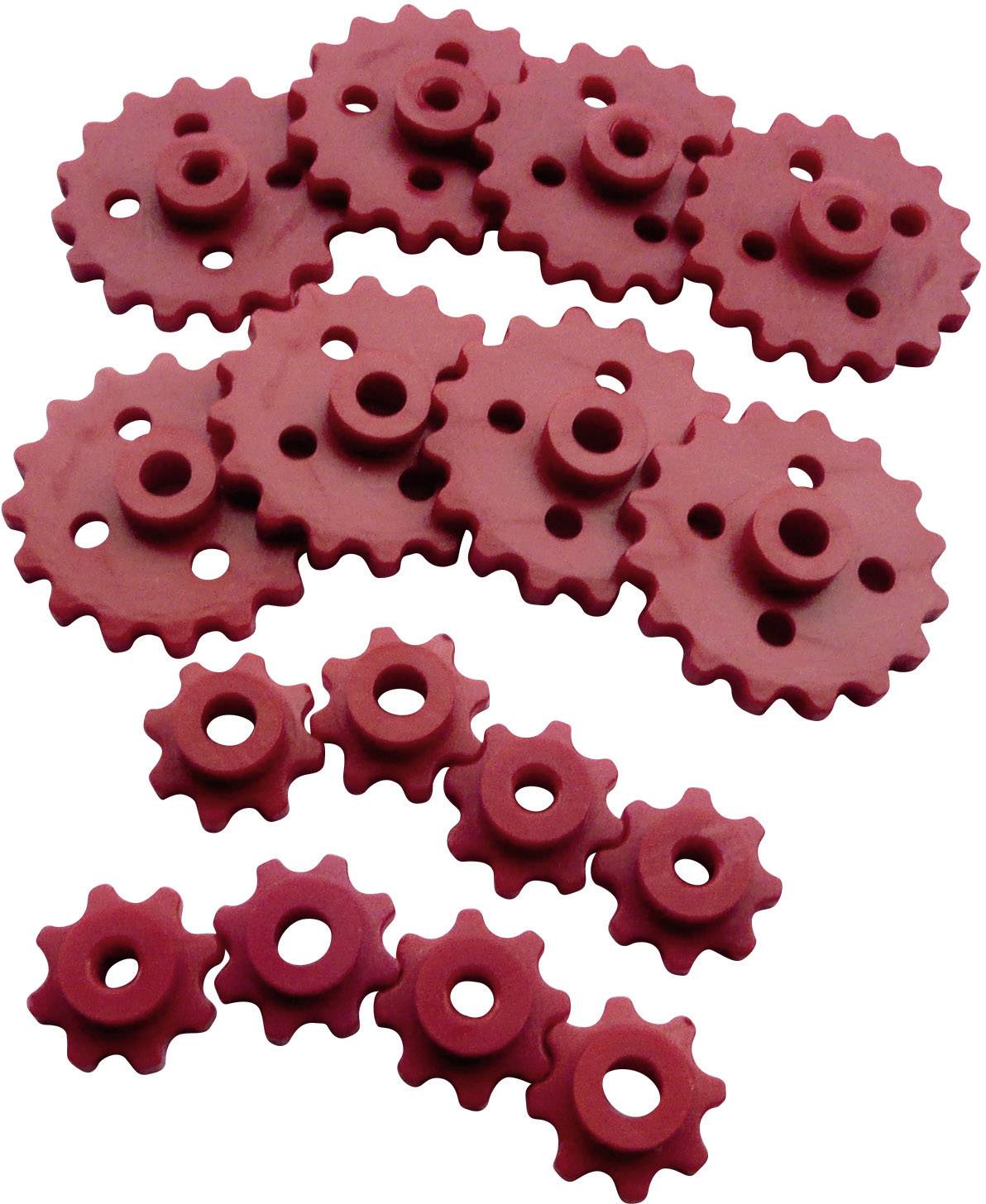 Reely Werklehrmittel Kettenräder-Set Bohrungs-Ø 2.9 mm, 3.9 mm