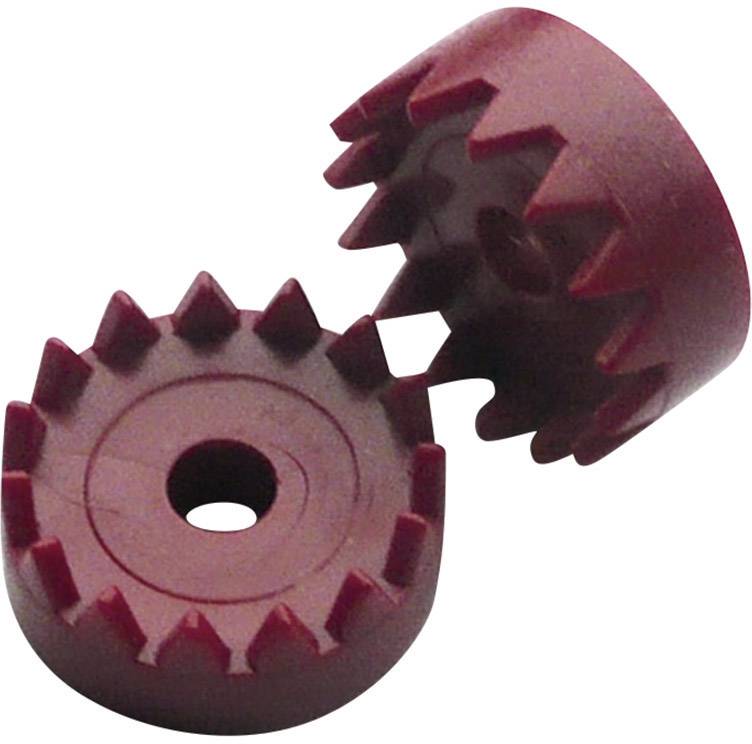 Reely Werklehrmittel Kronräder Bohrungs-Ø 3.9 mm Anzahl Zähne 15