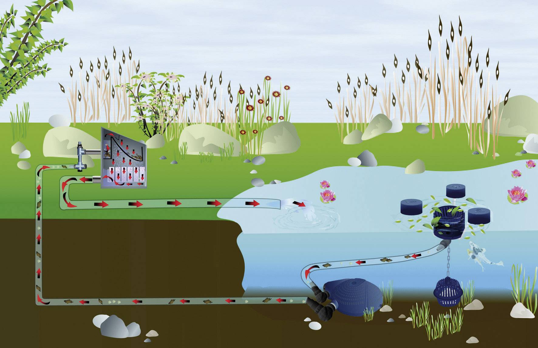 Ein Diagramm zeigt ein Wassersystem. Wasser wird von einem Teich zur Filtration und Nutzung in einem Haus geleitet.