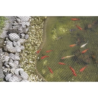 FIAP 2355 Teichnetz 1St. FIAP 2355 Teichnetz 1St.