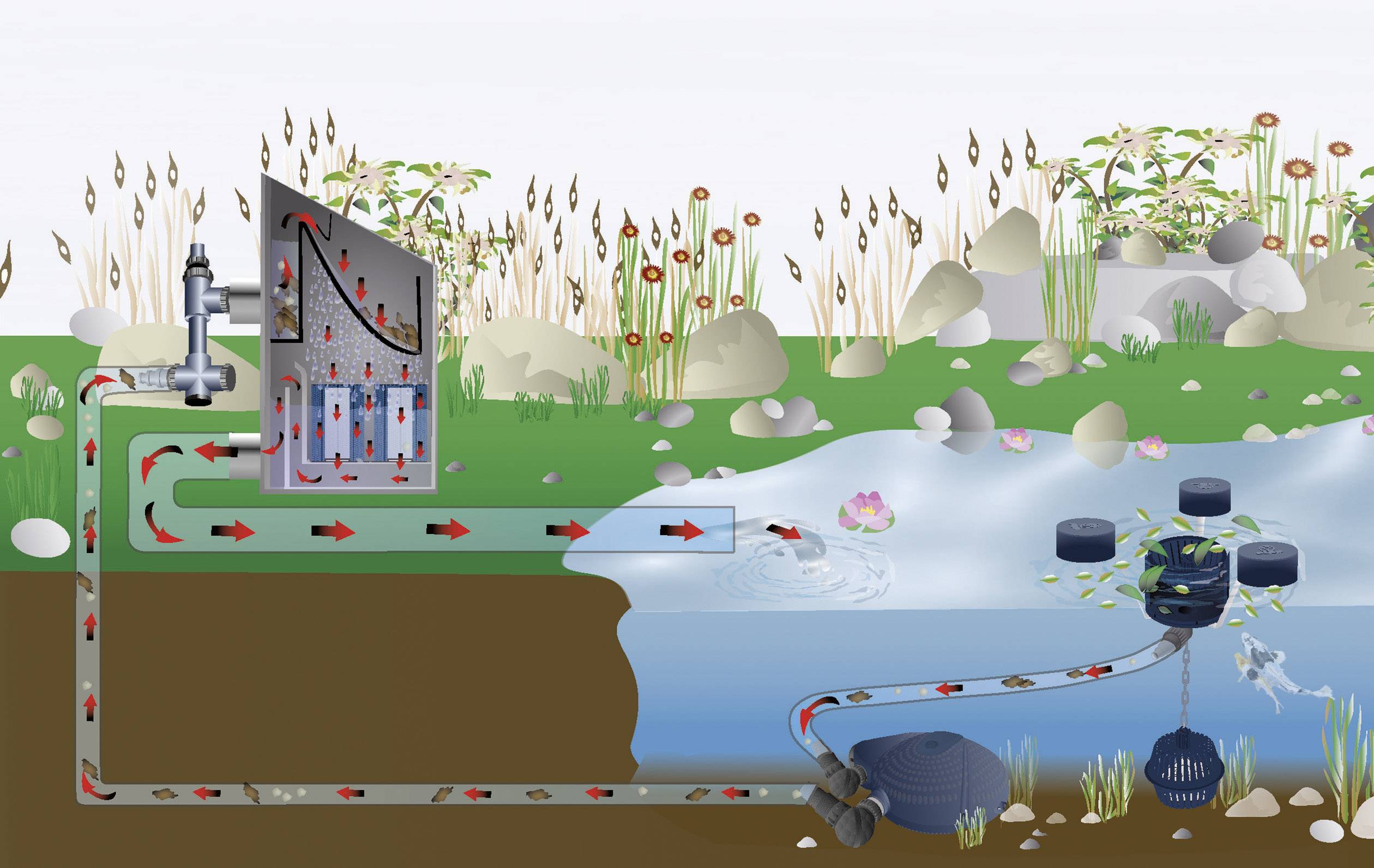 Illustration eines Wasserfiltersystems: Wasser fließt durch verschiedene Filterschichten in ein mit Pflanzen umgebenes Gewässer.