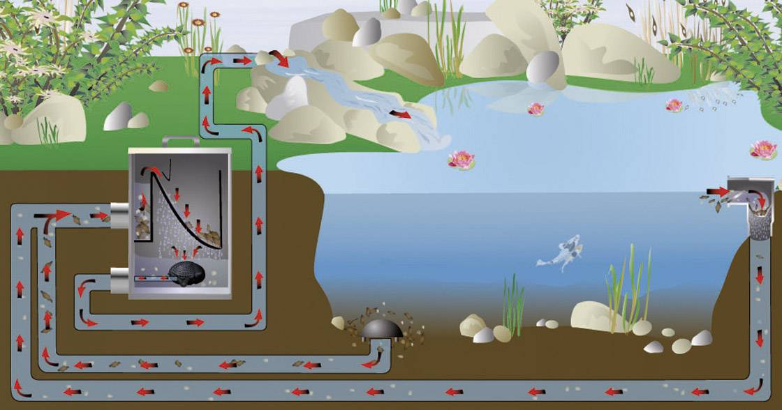 Ein Diagramm eines Teiches mit einem Filtersystem. Wasser fließt vom Teich durch Rohre in einen Filter und zurück. Pfeile zeigen die Flussrichtung.
