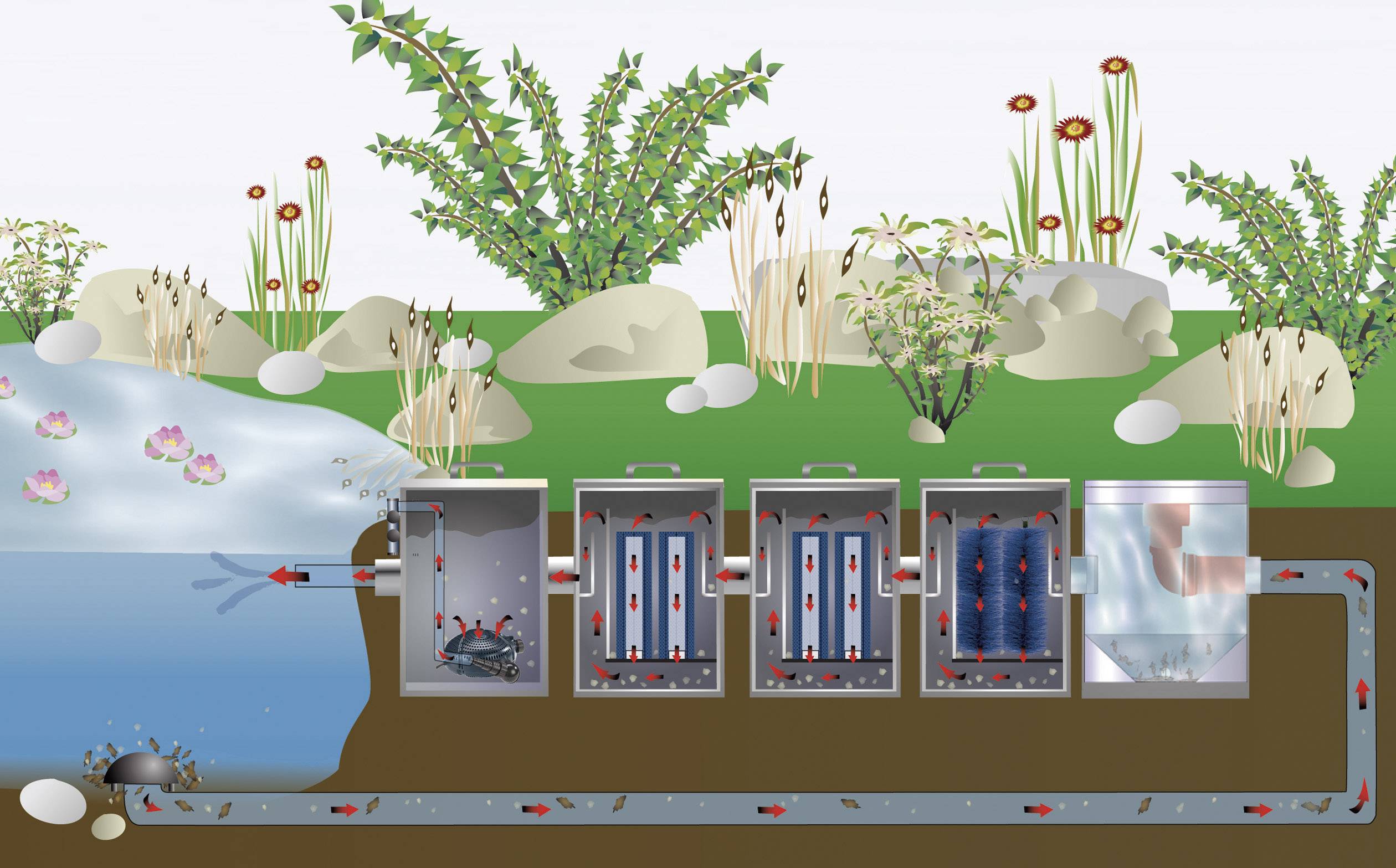 Diagramm einer Pflanzenkläranlage: Wasser fließt durch verschiedene Kammern mit Pflanzen, die Verunreinigungen filtern und abbauen.