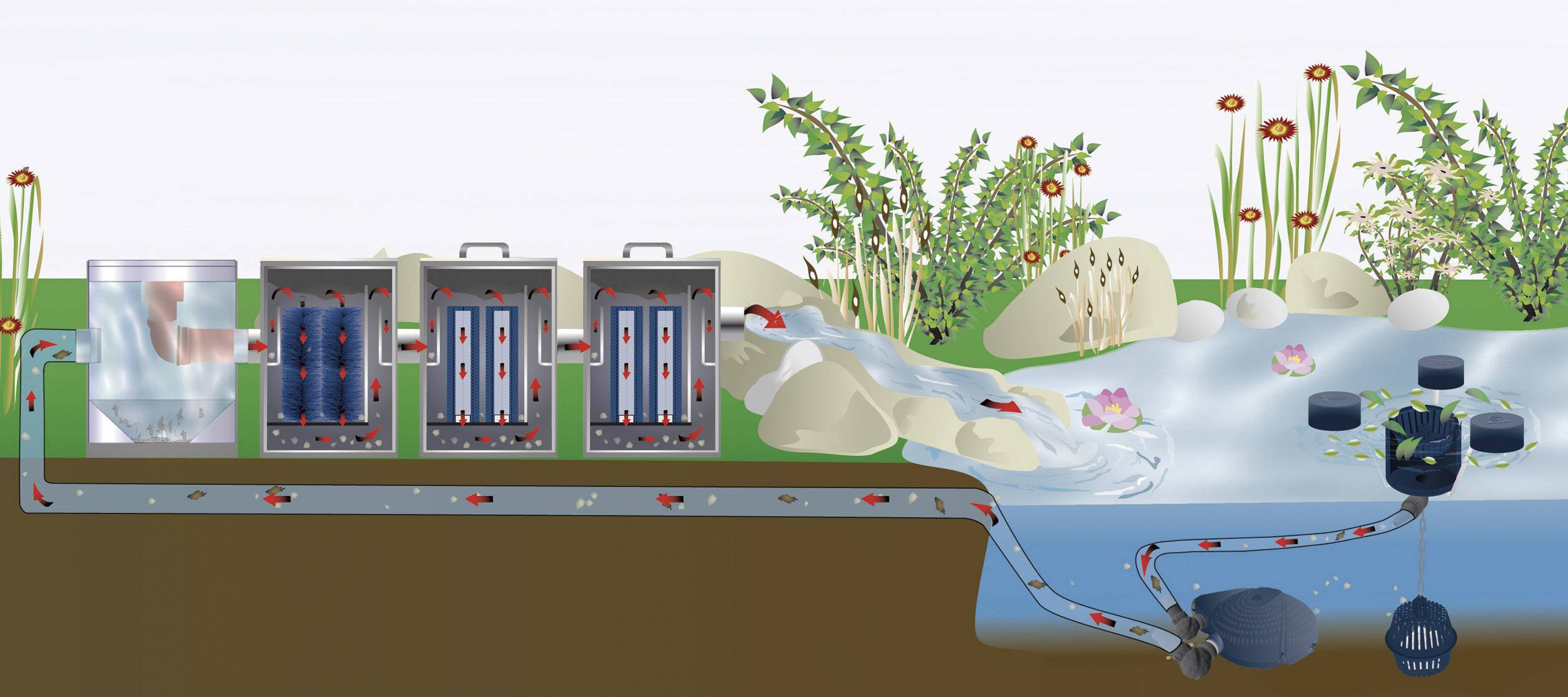 Diagramm zeigt das Filtersystem eines Teichs mit Pumpen und Pflanzen zur Wasserreinigung. Wasser fließt durch mehrere Filter zurück in den Teich.