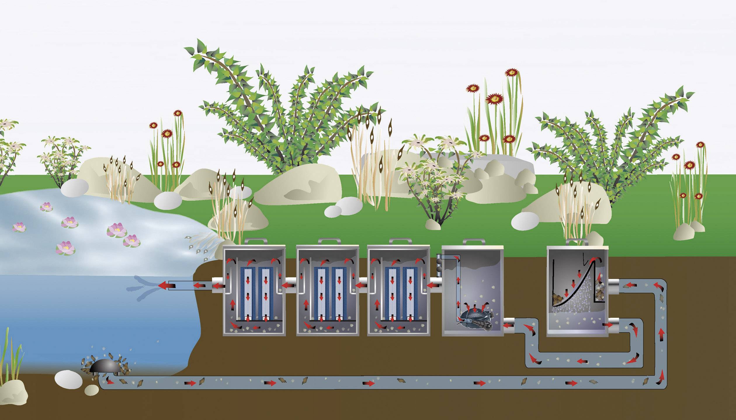 Diagramm der Wasseraufbereitung mit fünf Filtrationsstufen: Wasser fließt vom Teich durch Filterkammern zur Reinigung in Leitung.