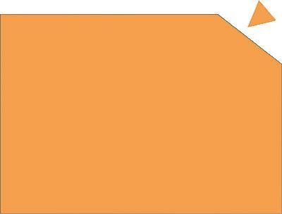 Franken Magnetplatten oragne/MP84105 200x295mm orange