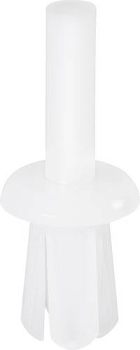 PB Fastener 301-0765-000 301-0765-000 Spreizniete Loch-Ø 7 mm Natur
