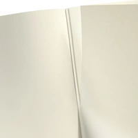 Sigel CONCEPTUM® CO120 Notizbuch blanko Schwarz Anzahl der Blätter: 97 DIN A5 Sigel CONCEPTUM® CO120 Notizbuch blanko Schwarz Anzahl der Blätter: 97 DIN A5