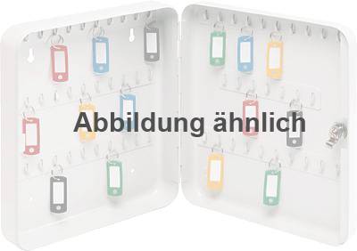 5Star Schlüsselkasten 918877 918877 Anzahl Haken 60 Lichtgrau