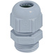 LAPP 53111420 Cable gland M20 Polyamide Grey-white (RAL 7035)