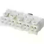 Adels-Contact 21806 LK 980-01/5 B Leuchtenklemme flexibel: -2.5mm² starr: -2.5mm² Polzahl: 5 Weiß Adels-Contact 21806 LK 980-01/5 B Leuchtenklemme flexibel: -2.5mm² starr: -2.5mm² Polzahl: 5 Weiß