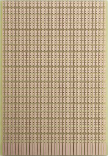 Rademacher WR-Typ 946 Prüfungsplatine Hartpapier (L x B) 16 mm x 10 mm 35 µm Rastermaß 2.54 mm Inhalt 1 St.
