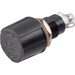 Bulgin FX0365 FX0365 Sicherungshalter Passend für (Sicherungen) Feinsicherung 5 x 20mm 6.3A 250 V/AC 1St.