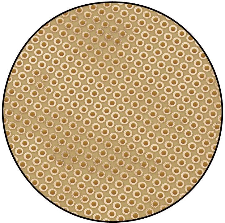 TRU Components SU527441 Europlatine Hartpapier (L x B) 160mm x 100mm 35µm Rastermaß 2.54mm Inhalt 1St.