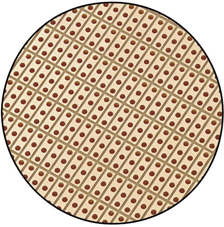 TRU COMPONENTS SU527413 Europlatine Hartpapier (L x B) 160mm x 100mm 35µm Rastermaß 2.54mm Inhalt 1St.