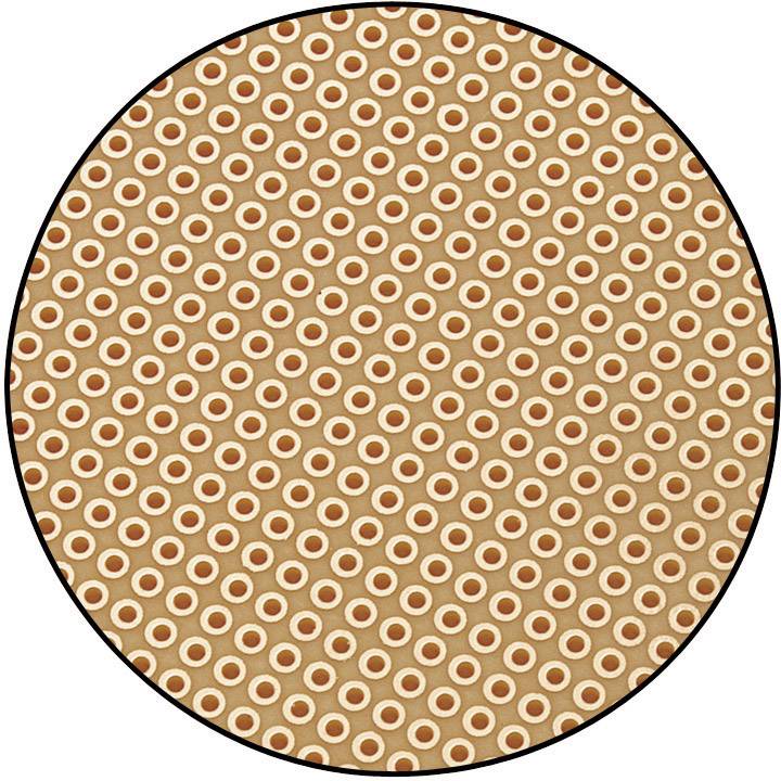 TRU Components SU529028 Europlatine mit SUB-D-Steckverbinderanschluss Hartpapier (L x B) 160mm x 100mm 35µm Rastermaß 2.54mm