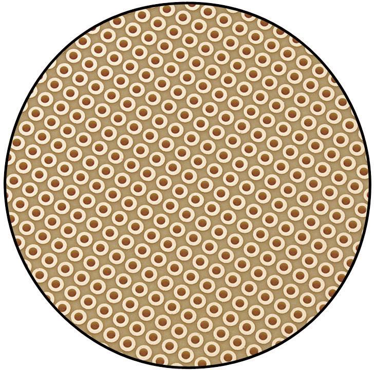 Braunes rundes Muster mit gleichmäßig verteilten, dunkel umrandeten hellen Kreisen. Decorativ und symmetrisch gestaltet.