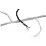 HellermannTyton 161-41205 SBPE9D-PE-GY-5M Spiralschlauch 10 bis 100mm Grau 5m HellermannTyton 161-41205 SBPE9D-PE-GY-5M Spiralschlauch 10 bis 100mm Grau 5m