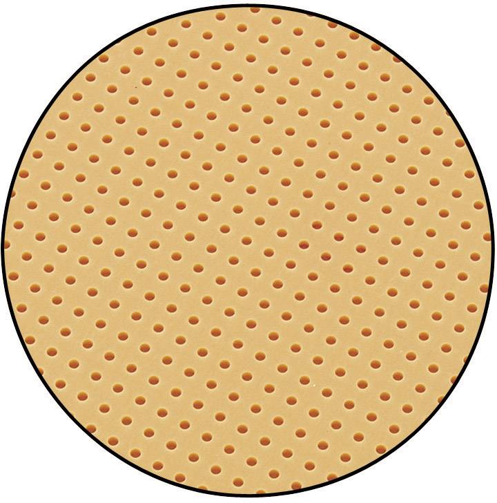 TRU COMPONENTS SU528455 Europlatine ohne Cu-Auflage Hartpapier (L x B) 160mm x 100mm Rastermaß 2.54mm Inhalt 1St.