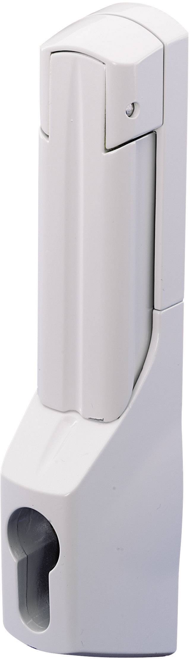 Rittal SZ 2537000 Komfortgriff für Profilhalbzylinder Lichtgrau (RAL 7035) 1 St.