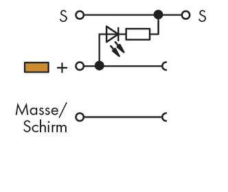 Schaltschema mit Diode, Widerstand und LEDs zwischen Plus und Signalleitung. Masse/Schirmleitung separat dargestellt.
