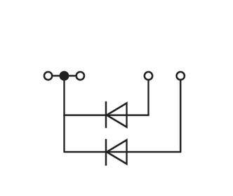 Ein einfaches Schaltbild mit zwei parallel geschalteten Dioden, die in entgegengesetzter Richtung ausgerichtet sind, symbolisiert Stromflusssteuerung.