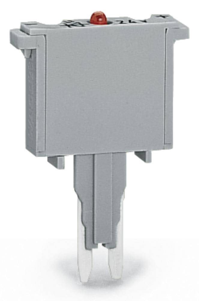 Ein grauer elektrischer Schalter mit einem roten Knopf oben, montiert auf einem Sockel mit zwei Metallkontakten unten.