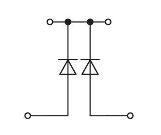 Elektrischer Schaltkreis mit zwei parallel geschalteten Dioden, die in entgegengesetzter Richtung orientiert sind.