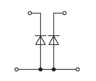 Elektronisches Schaltbild mit zwei Diodensymbolen, die parallel geschaltet sind, verbunden mit drei horizontalen und zwei vertikalen Leitungen.