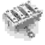 WAGO Netzanschlussklemme starr: 0.5-1.5mm² Polzahl (num): 4 500 St. Weiß