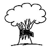 Ein Baum mit einer Schaukel aus Holz an einem Ast befestigt. Der Baum hat eine dichte Krone und darunter liegt Gras.