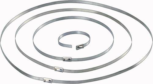 TRU Components 1570838 Kabelbinder 201 mm 4.60 mm Silber 10 St.