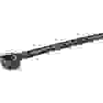 Panduit PLT2S-M20 Kabelbinder 188 mm 4.8 mm Schwarz 1000 St.